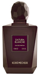 Datura Blanche