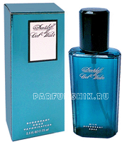 Cool Water  Davidoff (   )