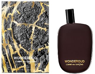 Wonderoud  Comme des Garcons (  )