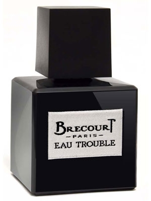 Eau Trouble  Brecourt ()