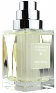 Osmanthus