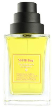 South Bay   The Different Company ( )