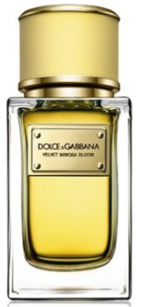Dolce & Gabbana Velvet Mimosa Bloom �� Dolce & Gabbana (������� ������ ���� �� ������ ��� �������)