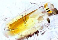 Bvlgari Eau Fraiche �� Bvlgari (������� � ������ �� �������)