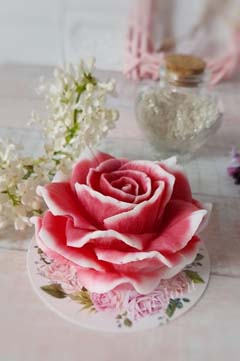 ���� �������