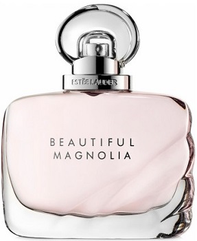 Beautiful Magnolia Beautiful Magnolia