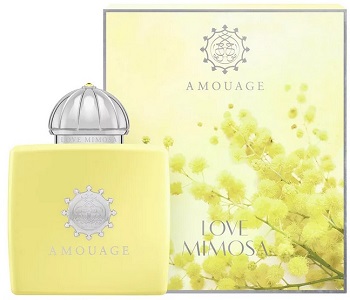 Love Mimosa Love Mimosa