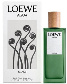 Agua Miami   Loewe ( )