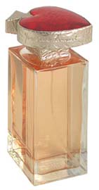 Vice Versa  Yves Saint Laurent (     )